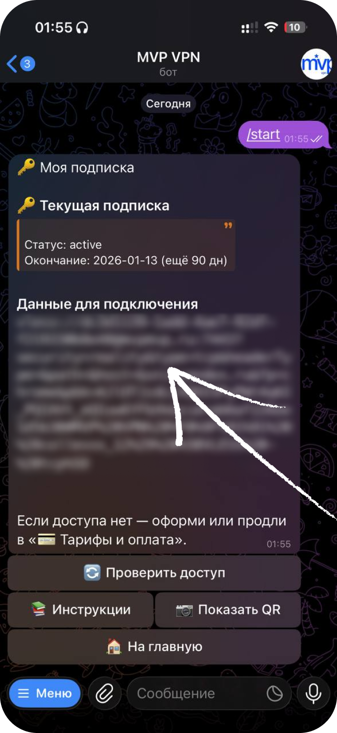 Start bot